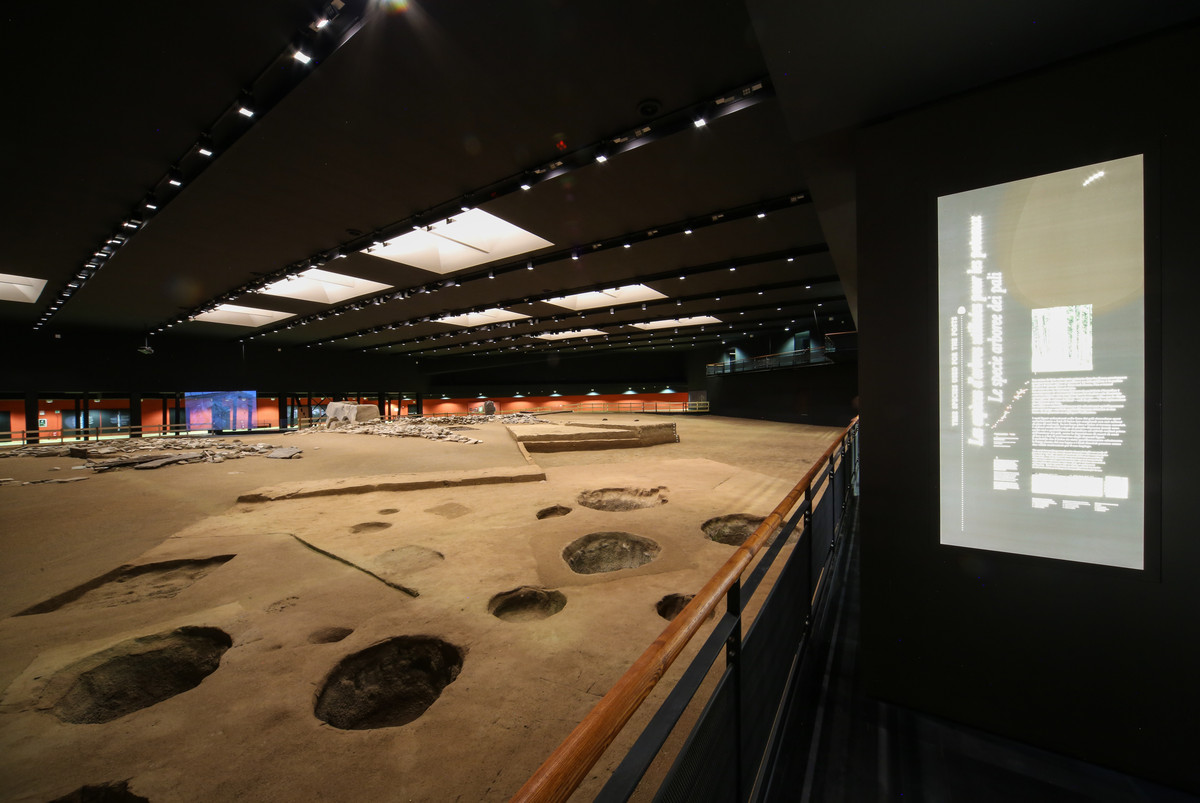 Visite guidate Area Megalitica e sistemi di inclusione